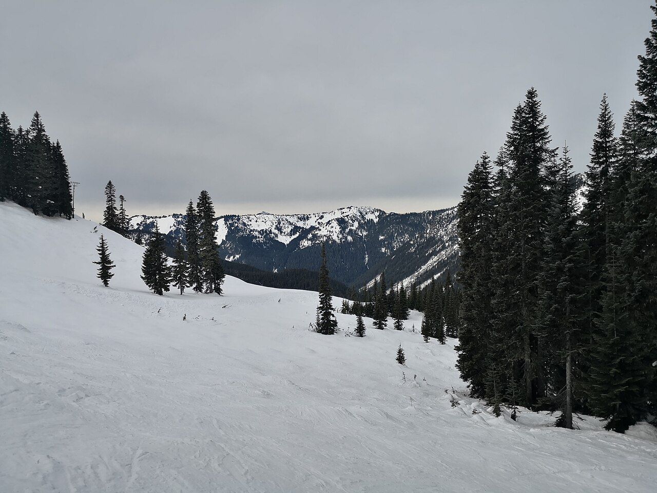 A snowy ski run at Stevens Pass lined with evergreens