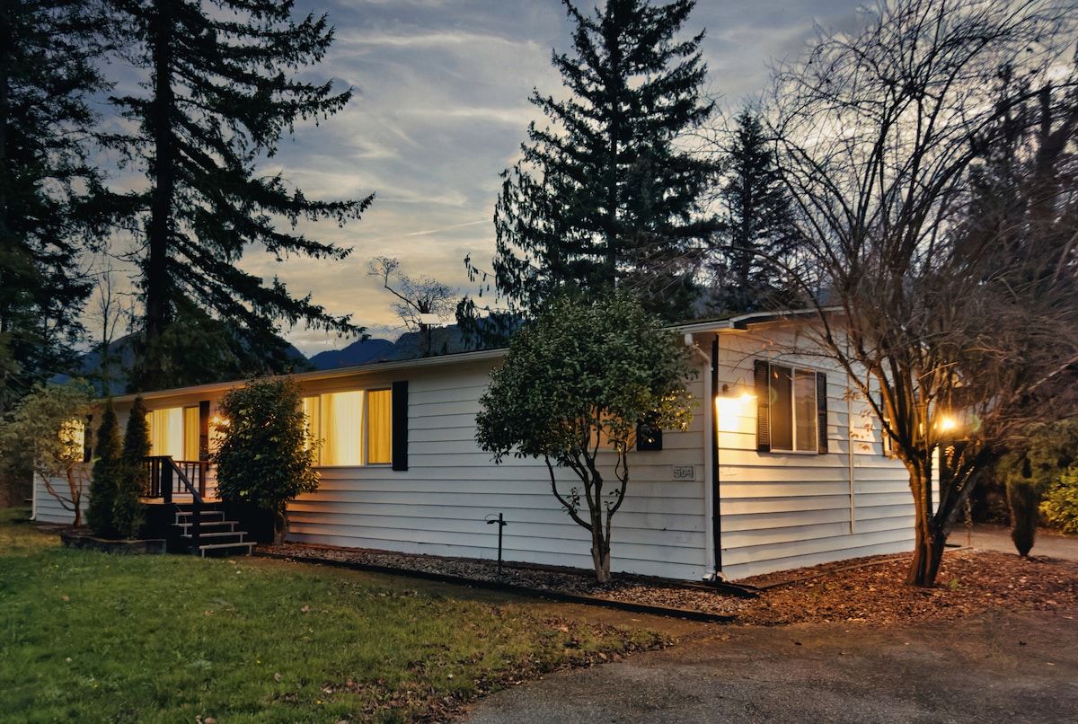 The house among tall evergreens at dusk